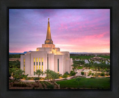 Gilbert Pink Sunrise