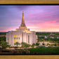 Gilbert Pink Sunrise