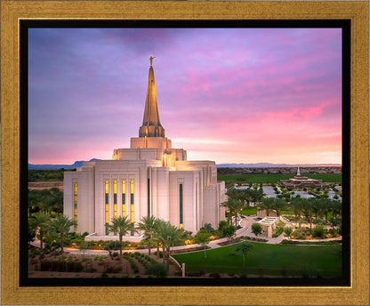 Gilbert Pink Sunrise