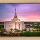 Gilbert Pink Sunrise