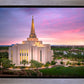 Gilbert Pink Sunrise