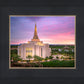 Gilbert Pink Sunrise