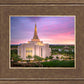 Gilbert Pink Sunrise
