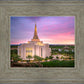 Gilbert Pink Sunrise