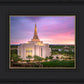 Gilbert Pink Sunrise