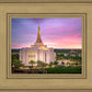 Gilbert Pink Sunrise