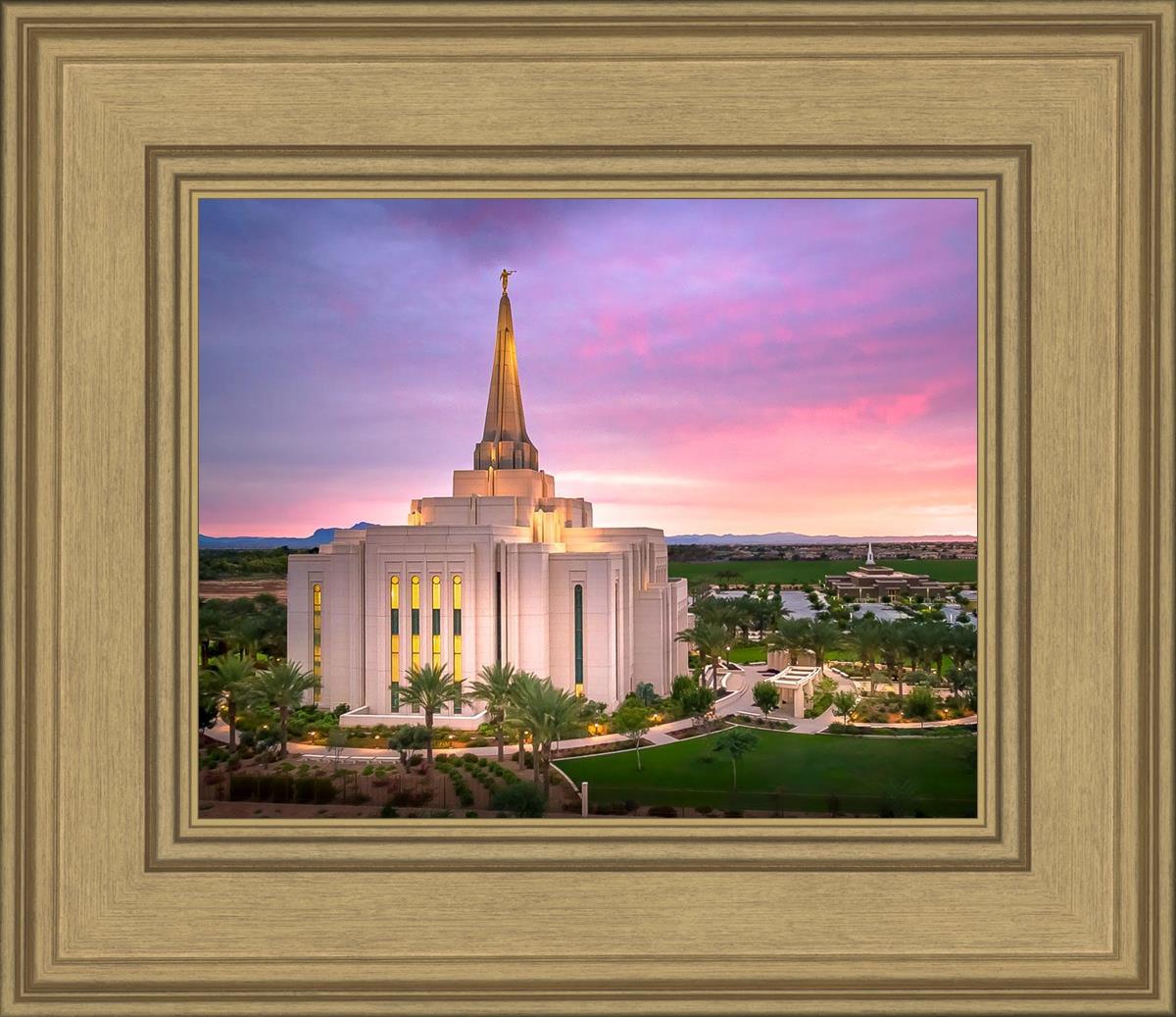 Gilbert Pink Sunrise