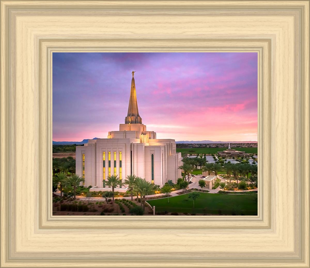 Gilbert Pink Sunrise