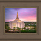 Gilbert Pink Sunrise