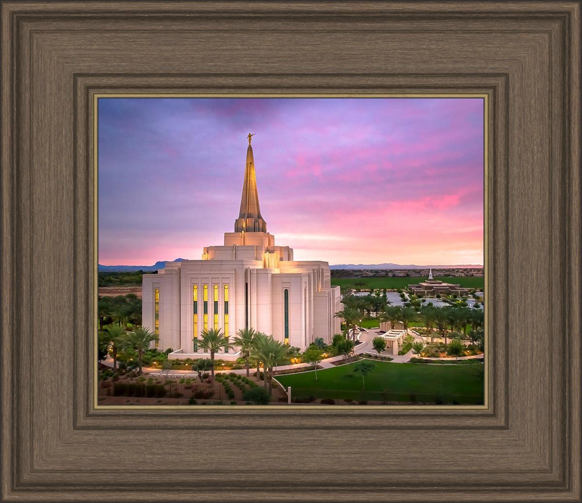 Gilbert Pink Sunrise