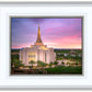 Gilbert Pink Sunrise