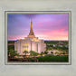 Gilbert Pink Sunrise