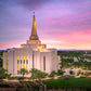 Gilbert Pink Sunrise