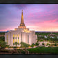 Gilbert Pink Sunrise
