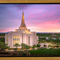 Gilbert Pink Sunrise
