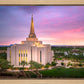 Gilbert Pink Sunrise