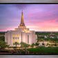 Gilbert Pink Sunrise