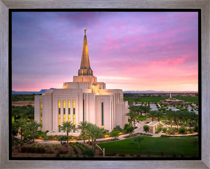 Gilbert Pink Sunrise