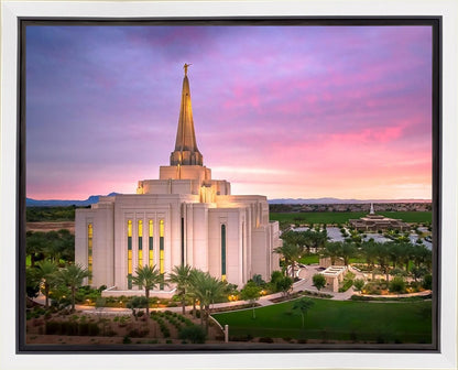 Gilbert Pink Sunrise