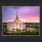 Gilbert Pink Sunrise