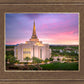 Gilbert Pink Sunrise