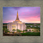 Gilbert Pink Sunrise