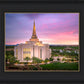 Gilbert Pink Sunrise