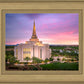 Gilbert Pink Sunrise
