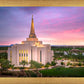 Gilbert Pink Sunrise