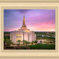 Gilbert Pink Sunrise
