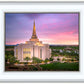 Gilbert Pink Sunrise