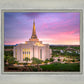 Gilbert Pink Sunrise
