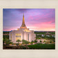 Gilbert Pink Sunrise