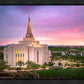 Gilbert Pink Sunrise