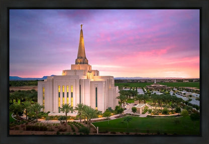 Gilbert Pink Sunrise