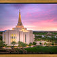 Gilbert Pink Sunrise