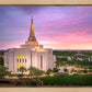 Gilbert Pink Sunrise