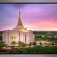 Gilbert Pink Sunrise