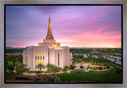 Gilbert Pink Sunrise