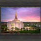 Gilbert Pink Sunrise