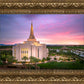 Gilbert Pink Sunrise