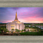 Gilbert Pink Sunrise