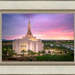 Gilbert Pink Sunrise