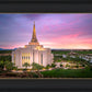 Gilbert Pink Sunrise
