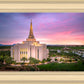 Gilbert Pink Sunrise