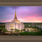 Gilbert Pink Sunrise