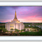 Gilbert Pink Sunrise