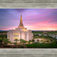 Gilbert Pink Sunrise