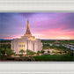Gilbert Pink Sunrise