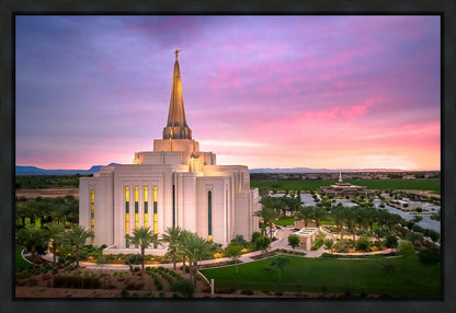 Gilbert Pink Sunrise